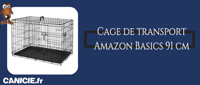 test cage transport amazon basics