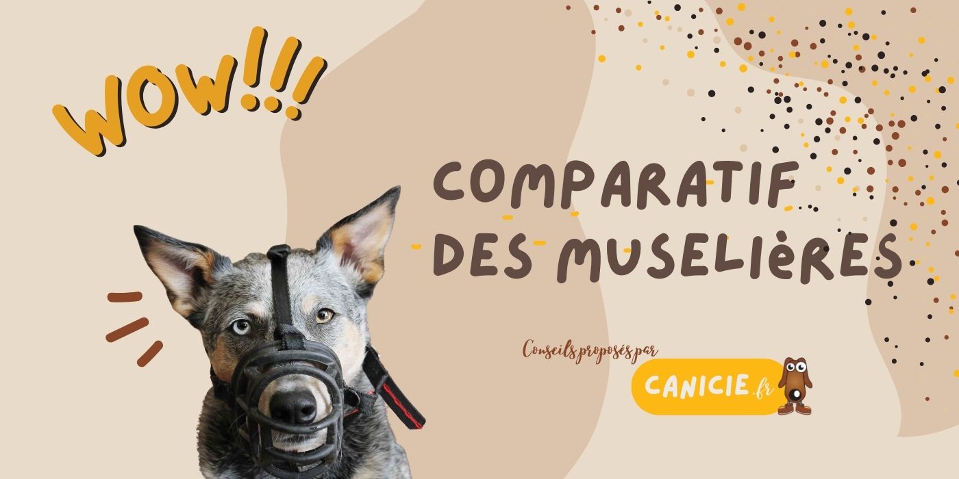 Trouver la bonne muselière pour son chien