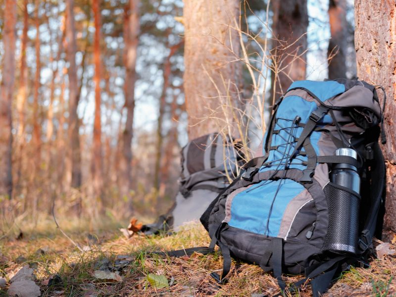 deux sacs de randonnées sur les arbres, un pour le chien l'autre pour les affaires