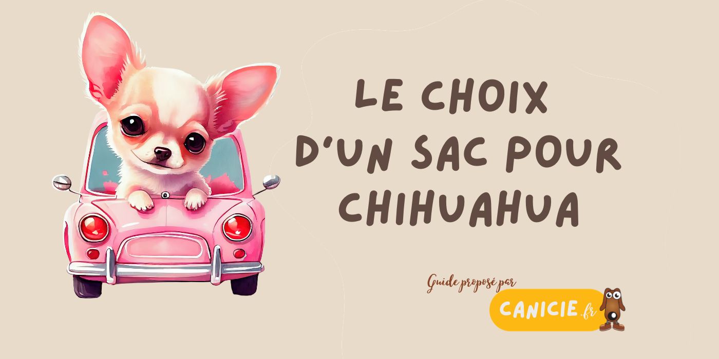 Comment choisir un sac pour son chihuahua ?