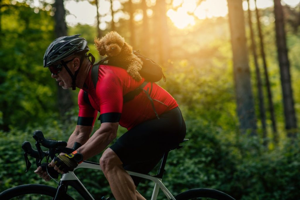 sac à dos chien pour le vélo