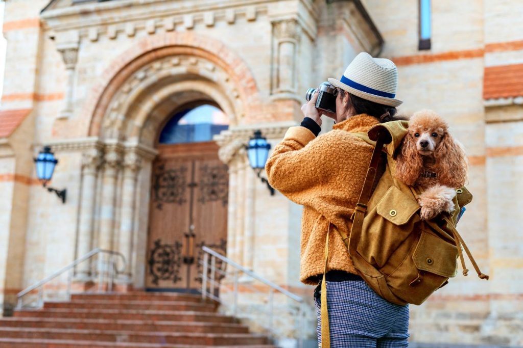 sac voyage chien