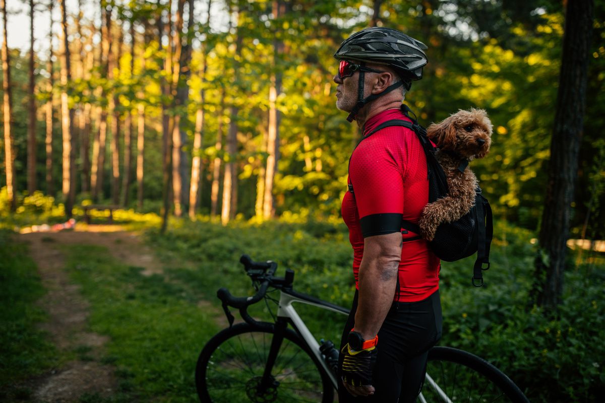 sac de transport chien pour velo